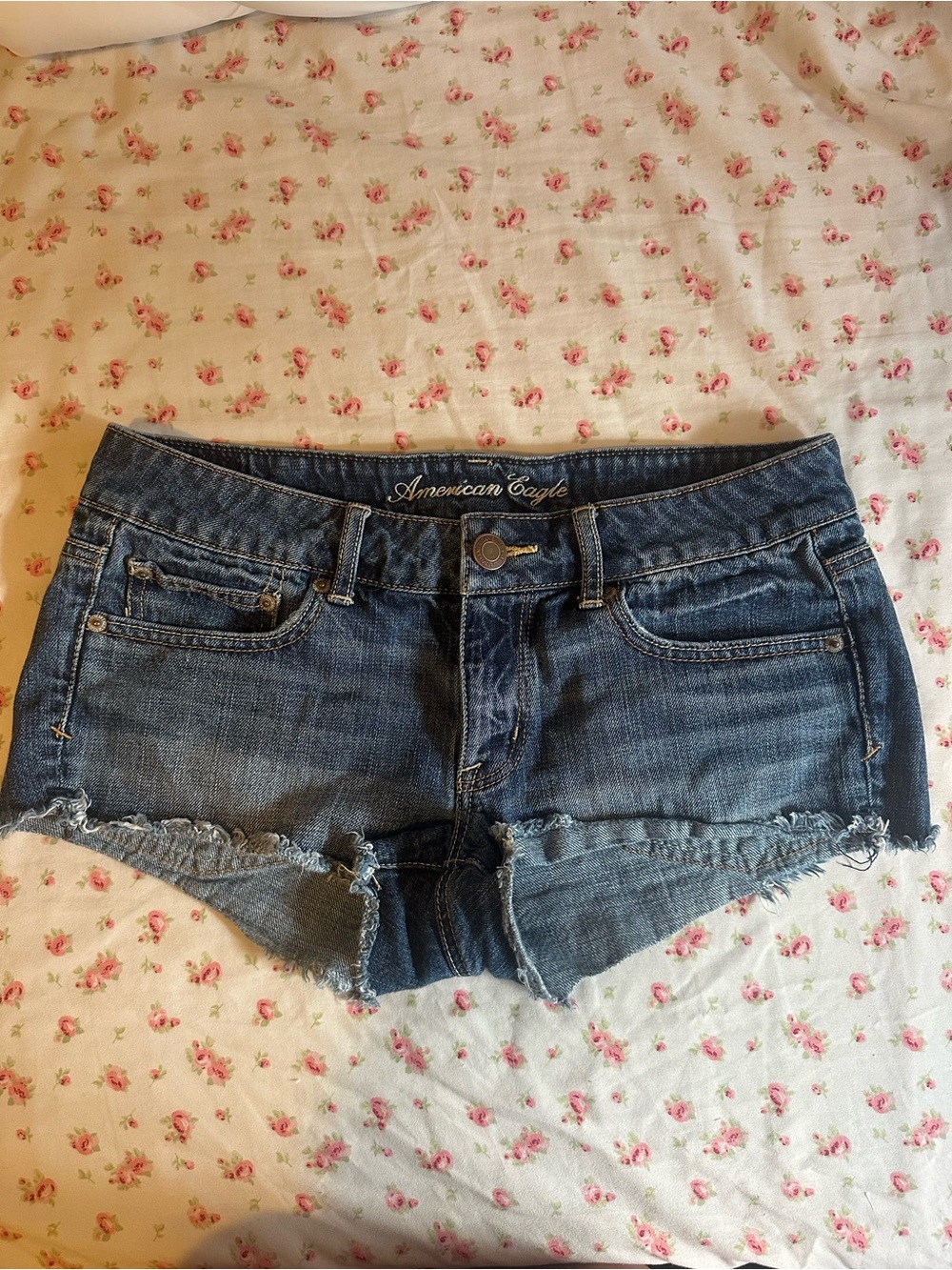 American Eagle Outfitters Blue Frayed Hem Denim Shorts